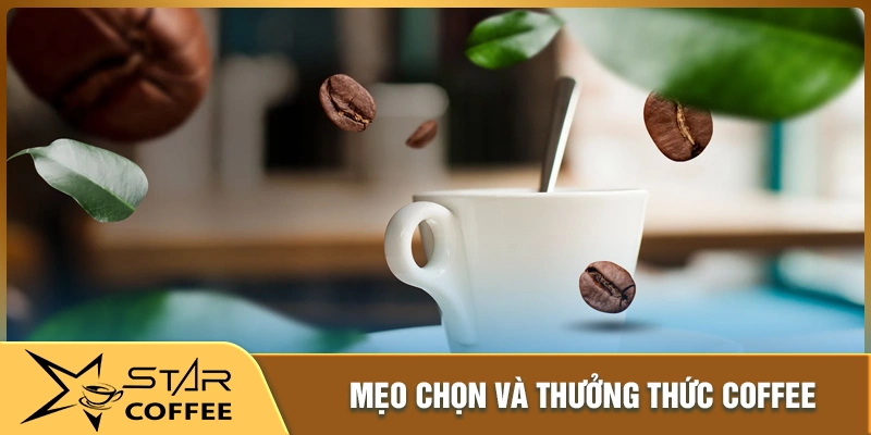 Mẹo chọn và thưởng thức cafe ngon đúng cách